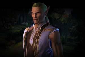 Neverwinter ойынындағы орман эльфі