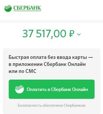 slepayakurica.ru тапсырысты төлеу