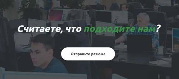 Job carprice сайтында қандай жұмыс бар