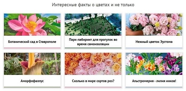 Үлкен Флора блогы