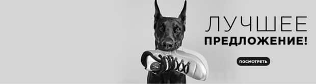 Jog dog ең жақсы мәміле
