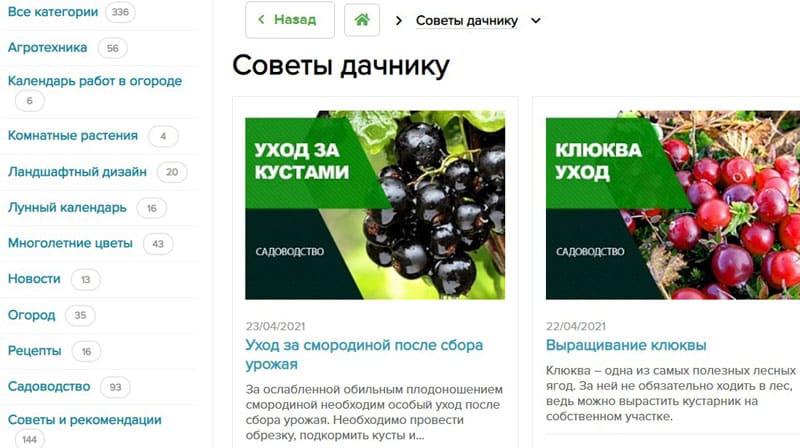 Agro-Market24 блогы