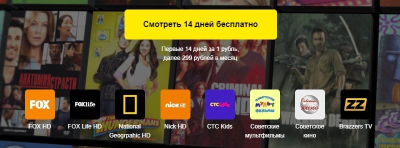 Peers TV тегін қарау