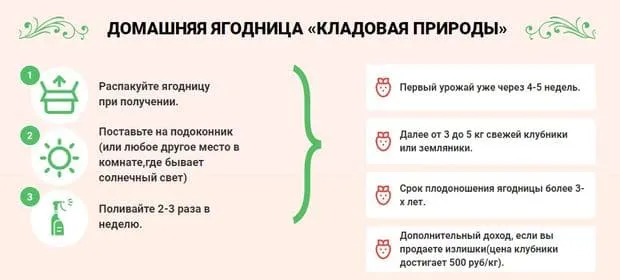 berry-home.ru үйдегі бөкселерді пайдалану жөніндегі Нұсқаулық
