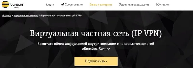 beeline-provider.ru бизнеске арналған Виртуалды жеке желі