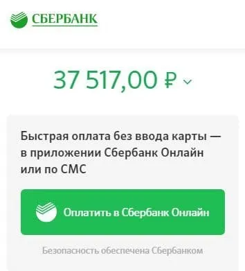slepayakurica.ru тапсырысты төлеу