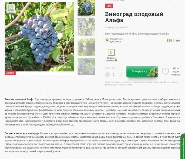 garshinka.ru тауар карточкасы